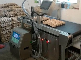 领达LT1000鸡蛋机